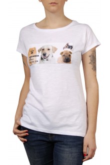 Comprar Camiseta Cotton Básica Lulu da Pomerânia, Labrador Mel, Vira Lata e Sharpei